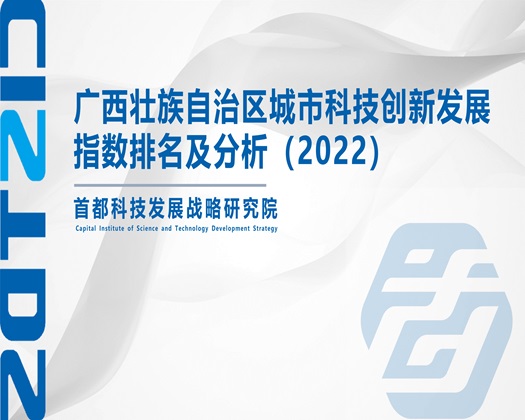 深夜污文流水水【成果发布】广西壮族自治区城市科技创新发展指数排名及分析（2022）